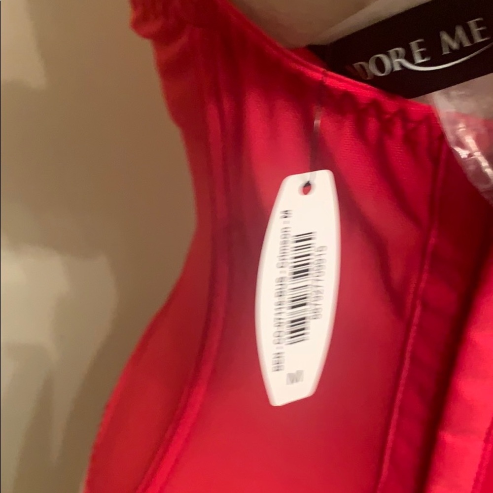 NWT Crimson Sheer Corset w/Garters & Panties - Picture 5 of 7